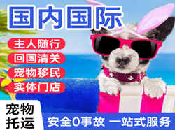 集宁机场空运国际宠物托运 【国